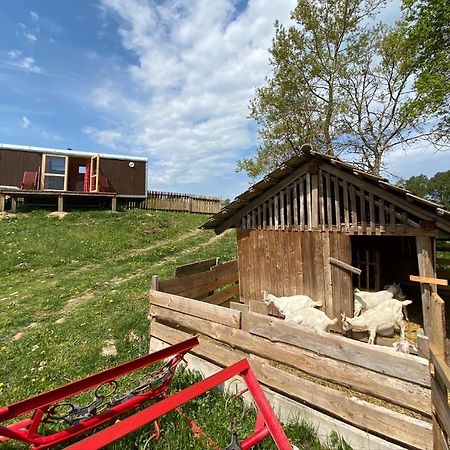 Maringotka Na Samote Na Kozi Farme Hotel Pobezovice Ngoại thất bức ảnh